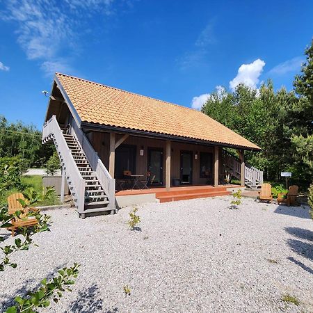 Nieborów Oberza Pod Zlotym Prosiakiem酒店 外观 照片